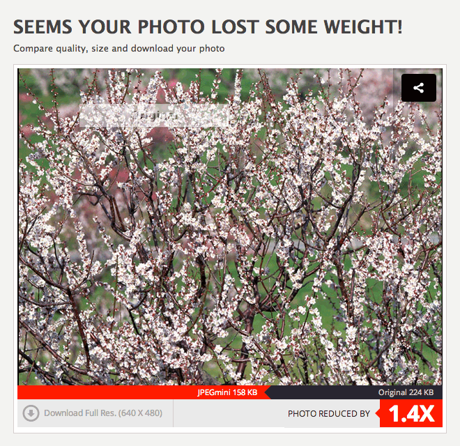 JPG 画像の容量(サイズ)を小さくするサービス「JPEG Minimizer」