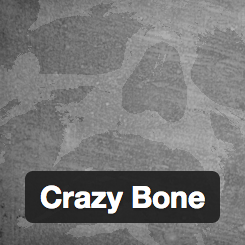 [WP]ログイン履歴を表示できるWordPressプラグイン「Crazy Bone」
